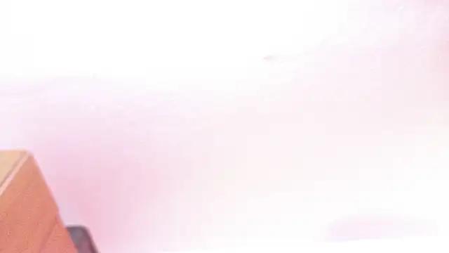 switch_fenix