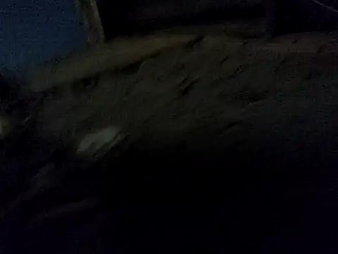 teteualcantara