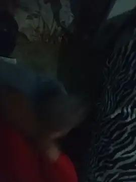 teusinhojogador30