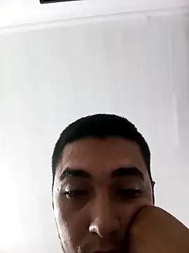 tiburonsinM