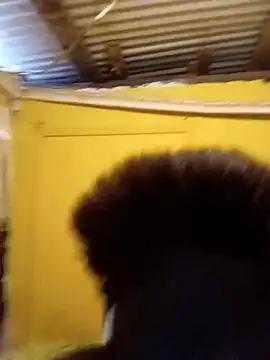 tracyvstracy