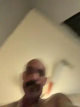 wesstfine