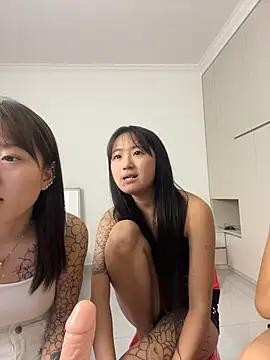 xiaojingzi66