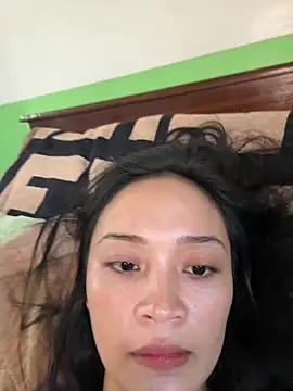xlamina_
