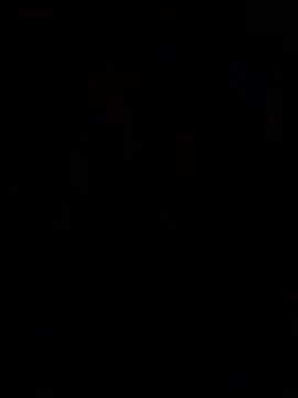 yassinewael3748