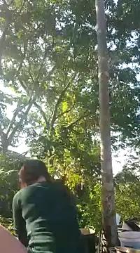 zizi_pulic